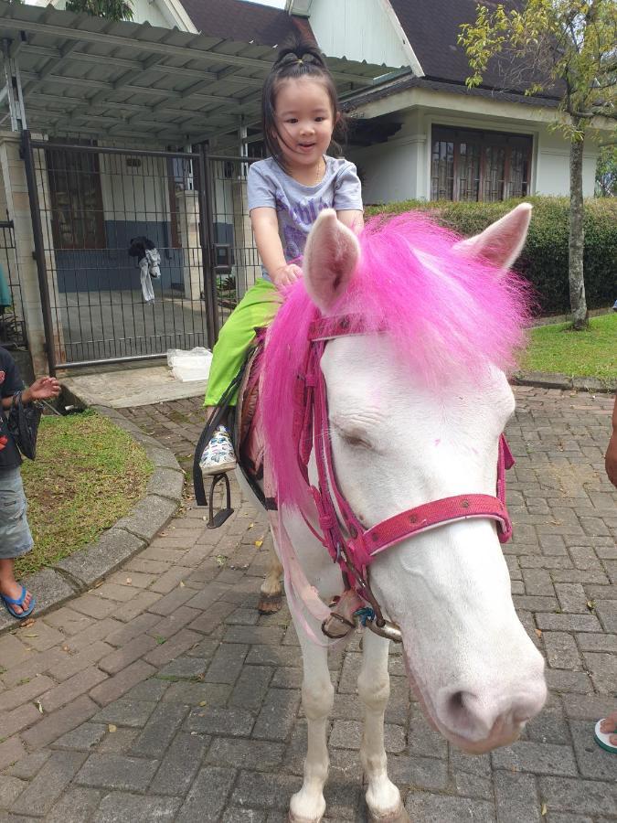 Villa Hello Kitty Kota Bunga Puncak Cinengangirang Buitenkant foto